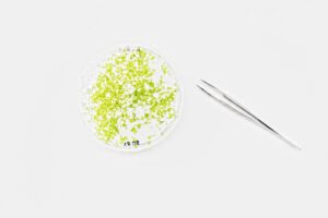 Labor-Pinzette – Detailaufnahme aus Laborfotografie Pinzette im Labor – präzise Detailaufnahme technischer Arbeitsumgebung