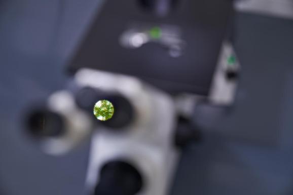 mikroskop-durchblick